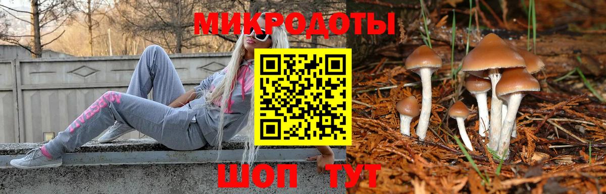 Абакан  Галлюциногенные грибы GOLDEN TEACHER  сколько стоит  Вход с VPN  Псилоцибиновые грибы ЛСД 
