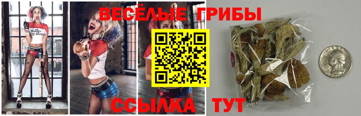 Псилоцибиновые грибы GOLDEN TEACHER Абакан
